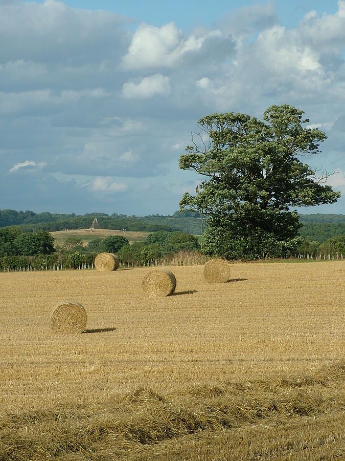Landscape Photograph - Hay bales by Mary Poulton