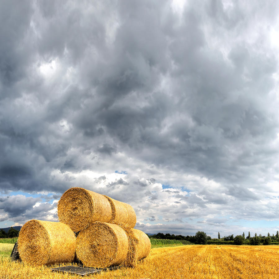 Hay Bales On Stubble Field With Photograph by Antimartina