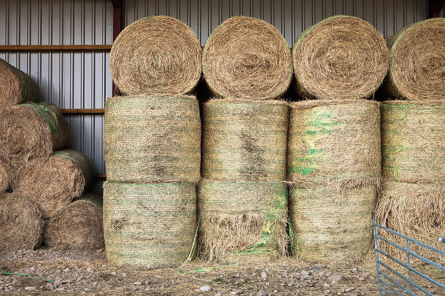 Bread Photograph - Hay bales by Tom Gowanlock