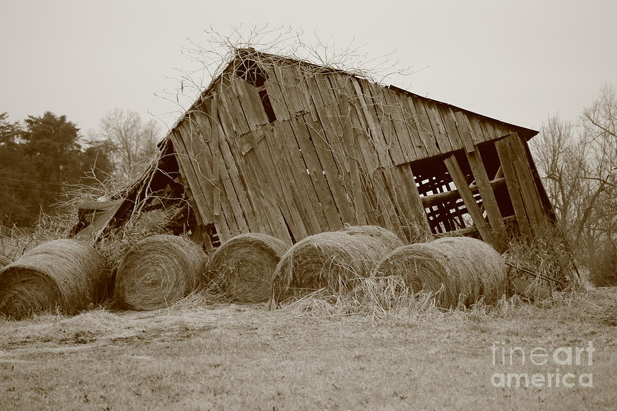Hay barn no 2 Photograph by Dwight Cook