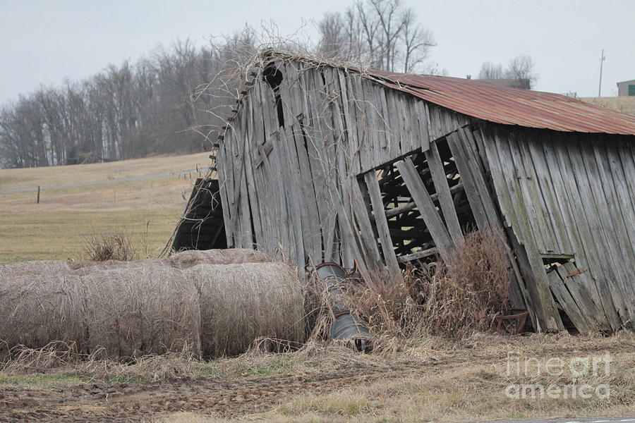 Barn In Kentucky No 7 Photograph