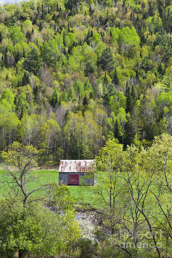 Hay Barn In Spring Photograph by Alan L Graham