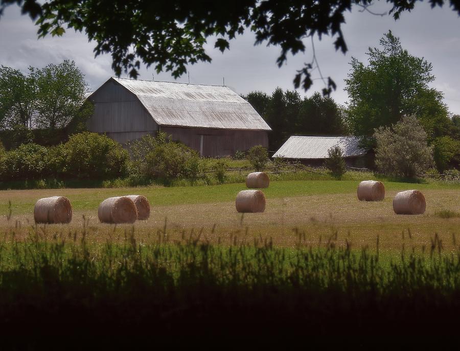 Hay - Barn - Summer Photograph by Henry Kowalski