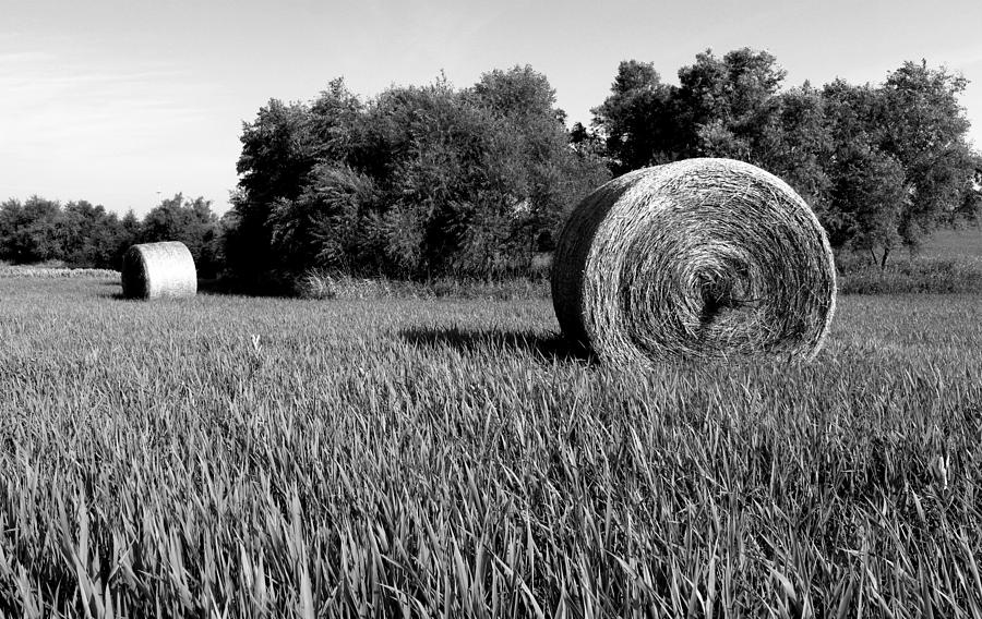 Farm Photograph - Hay bw by Elizabeth Sullivan