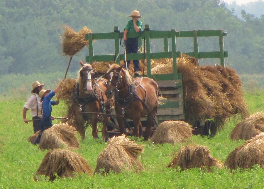 Hay Day Photograph by Lori Frisch