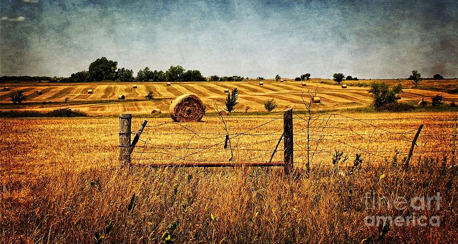 Hay Field On An Awesome Day Photograph