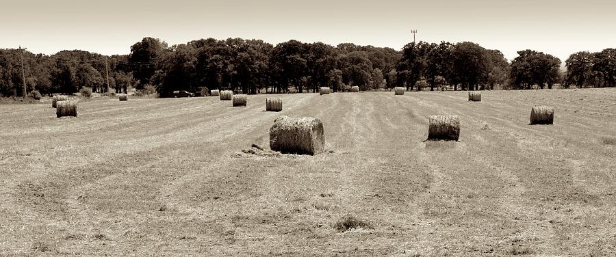Hay Field Photograph by Ricardo J Ruiz de Porras