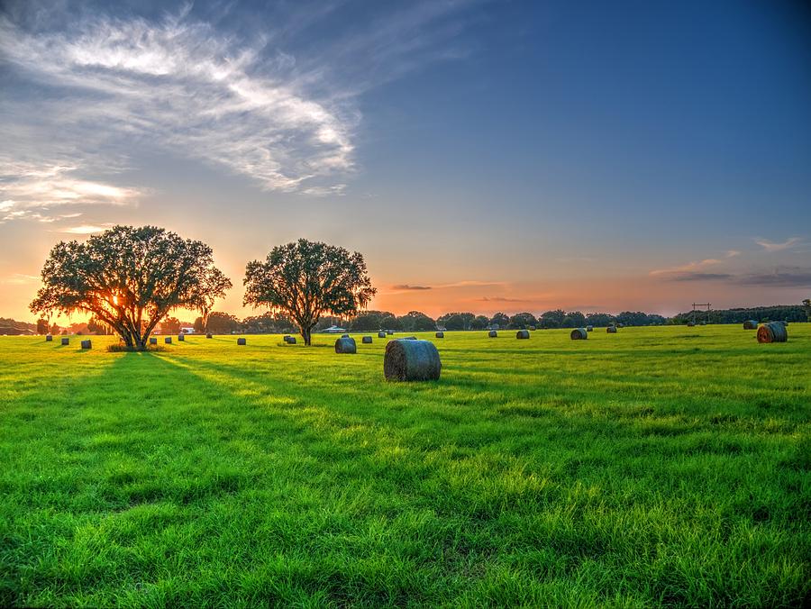 Hay Field Photograph by Richard Jones - Fine Art America