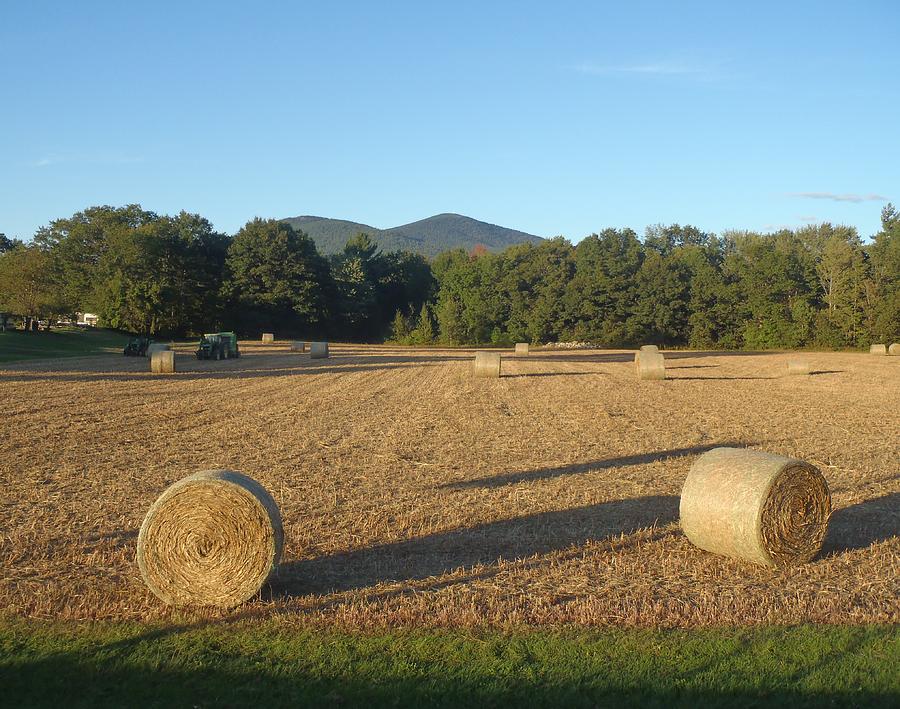 Hay Field Photograph by Robert Nickologianis