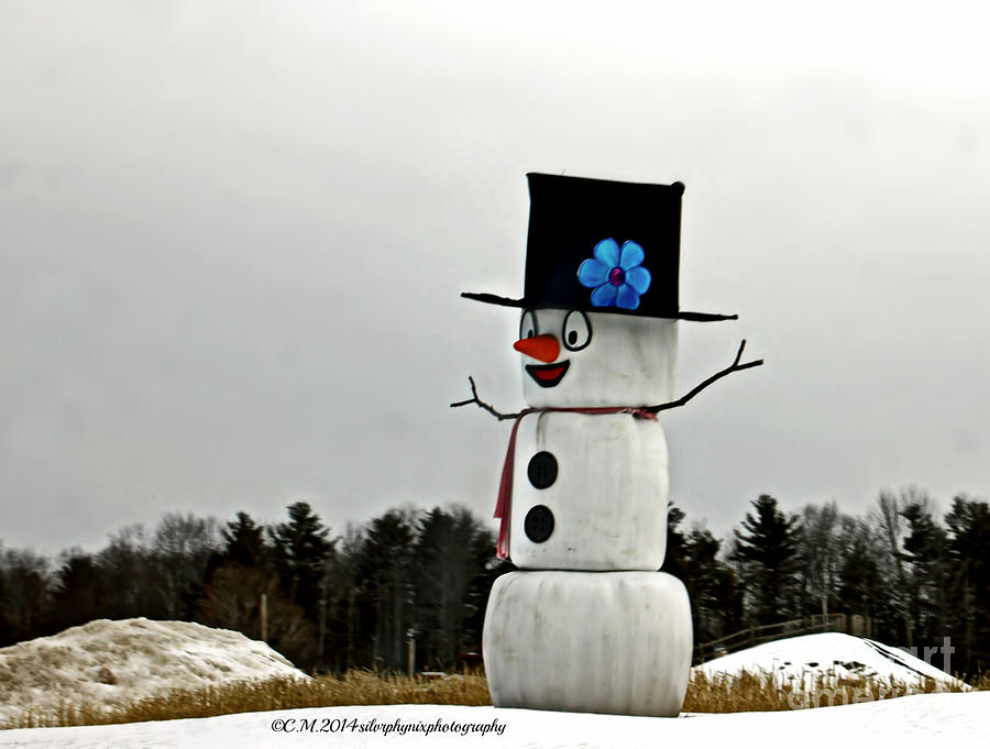 Farm Photograph - HAY Frosty by Catherine Melvin
