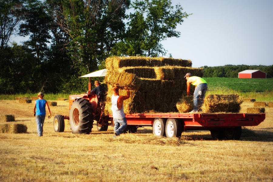 Hay Haulers Photograph by Cricket Hackmann