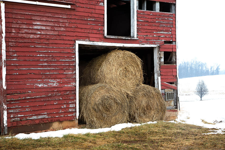 Hay In The Barn Photograph By Cindy Archbell Fine Art America