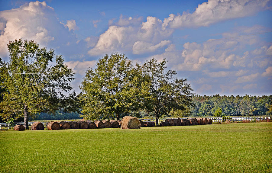 Hay is Baled Photograph by Linda Brown