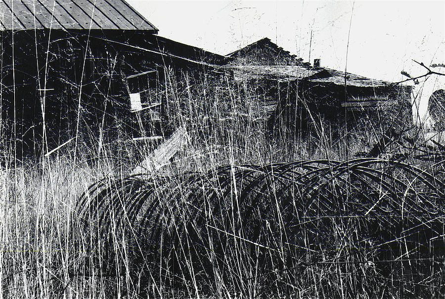 Hay mow ghost town Pearce Arizona 1968 Photograph by David Lee Guss