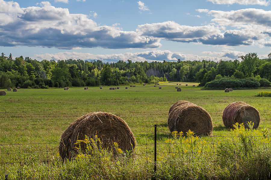 Hay on the Field Photograph by Celso Bressan