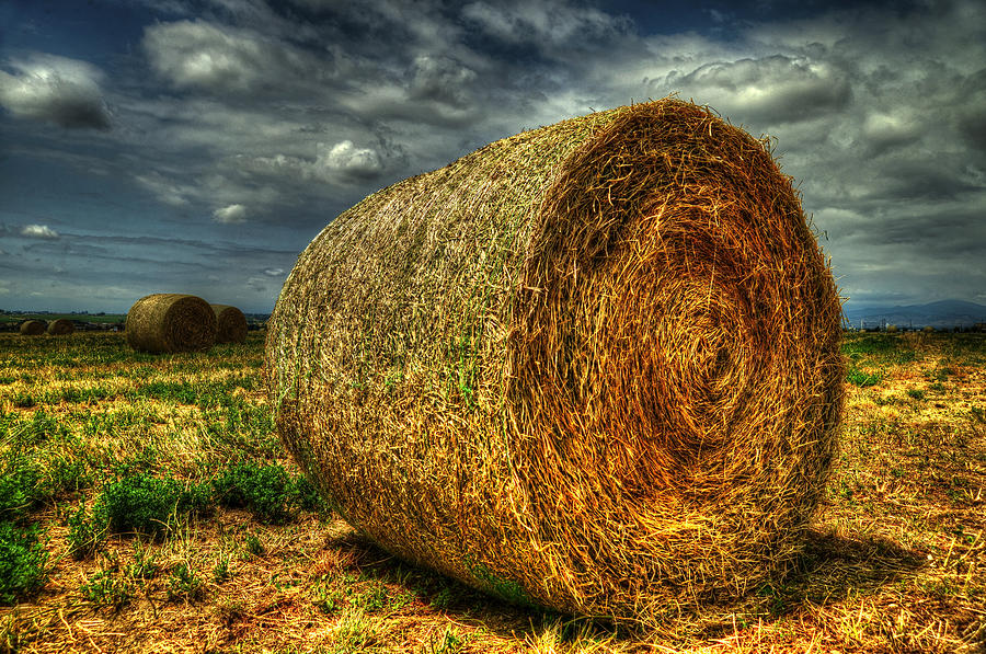 Farm Photograph - Hay Ride by Craig Incardone