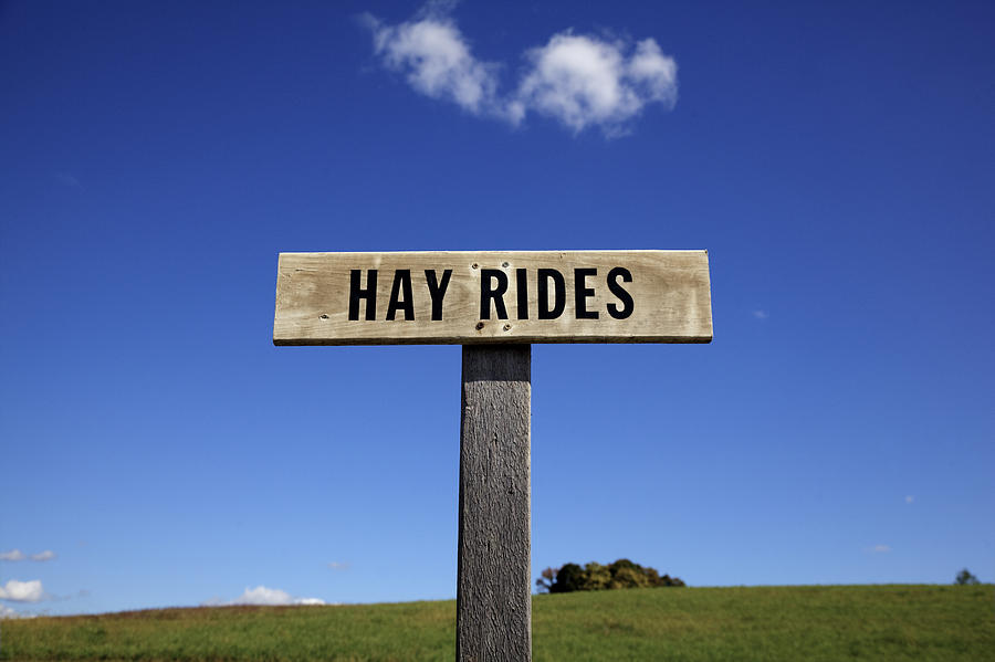 Hay Rides Photograph by Steve Gravano