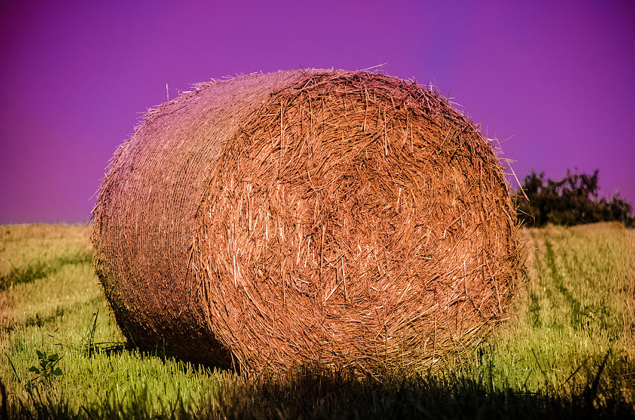 Hay Roll Photograph by Dany Lison