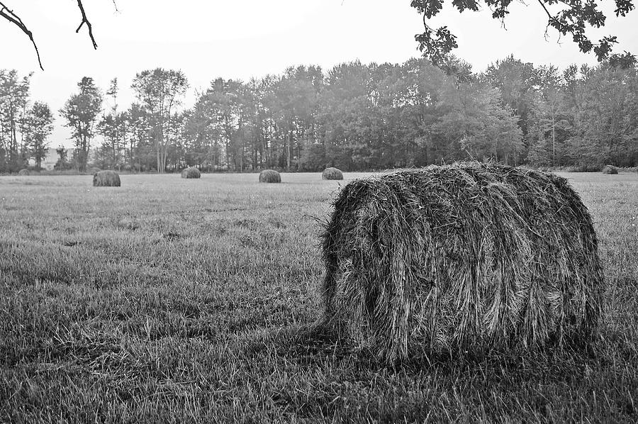 Hay Roll in Black and White Photograph by Daniel Thompson