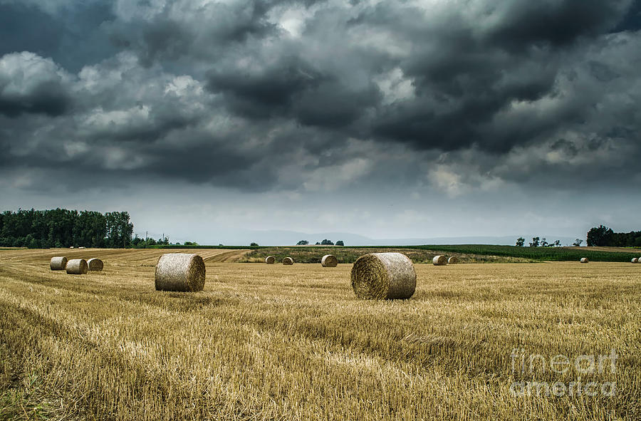 Hay Rolls Photograph by Michelle Meenawong
