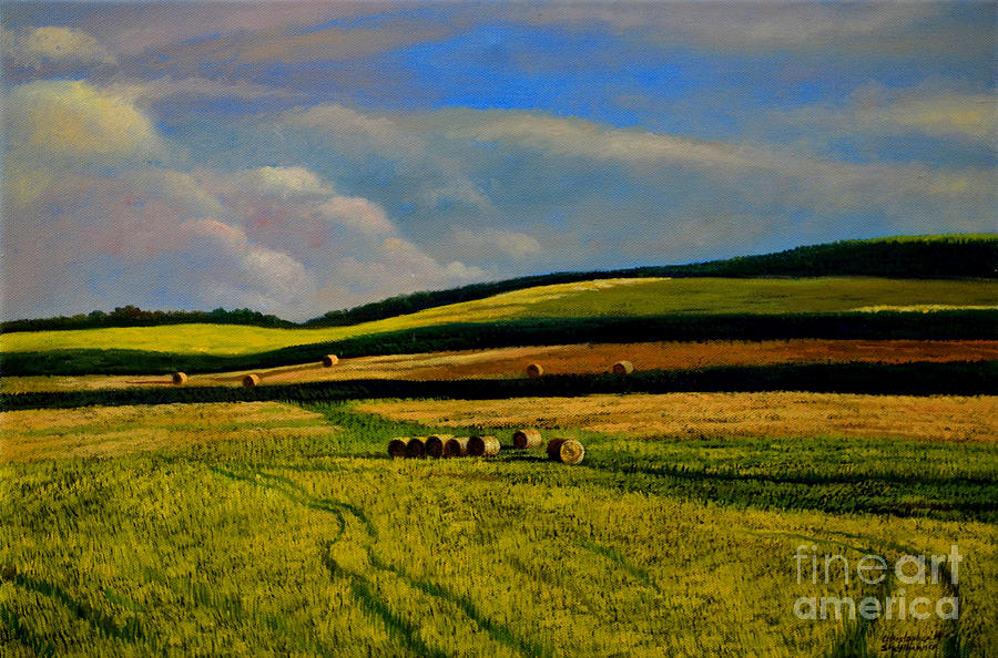 Hay Rolls on the Field Number Two Painting by Christopher Shellhammer