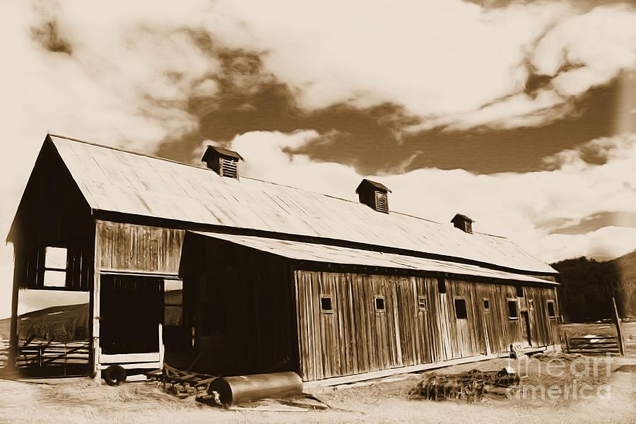 Barn Photograph - Hay Shed by Roland Stanke