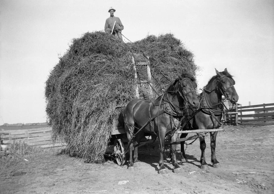 Hay Wagon And Draft Horses With Farmer Atop 1941, Retro Photograph by NNehring