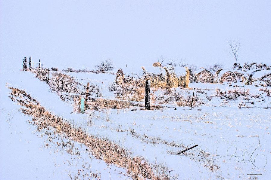 Haybales in the Snow Photograph by Scott Carlton