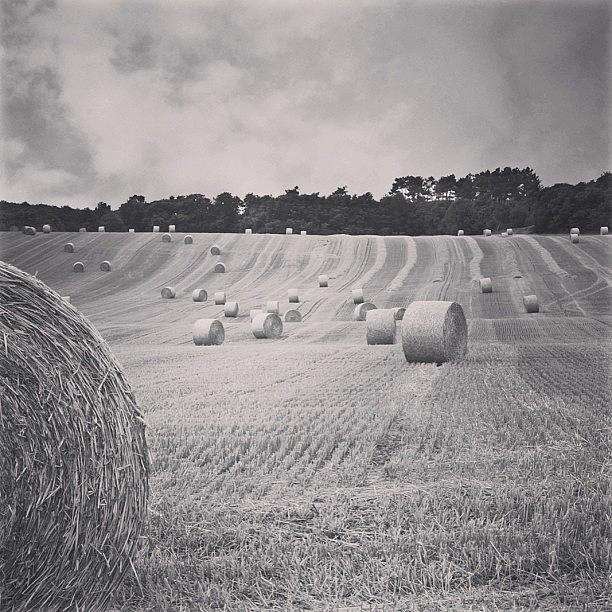 Summer Photograph - #haybales #summer #france by Georgia Clare