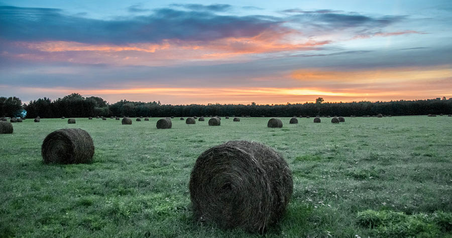 Hayfield Sunrise 3D21735 Photograph by Guy Whiteley