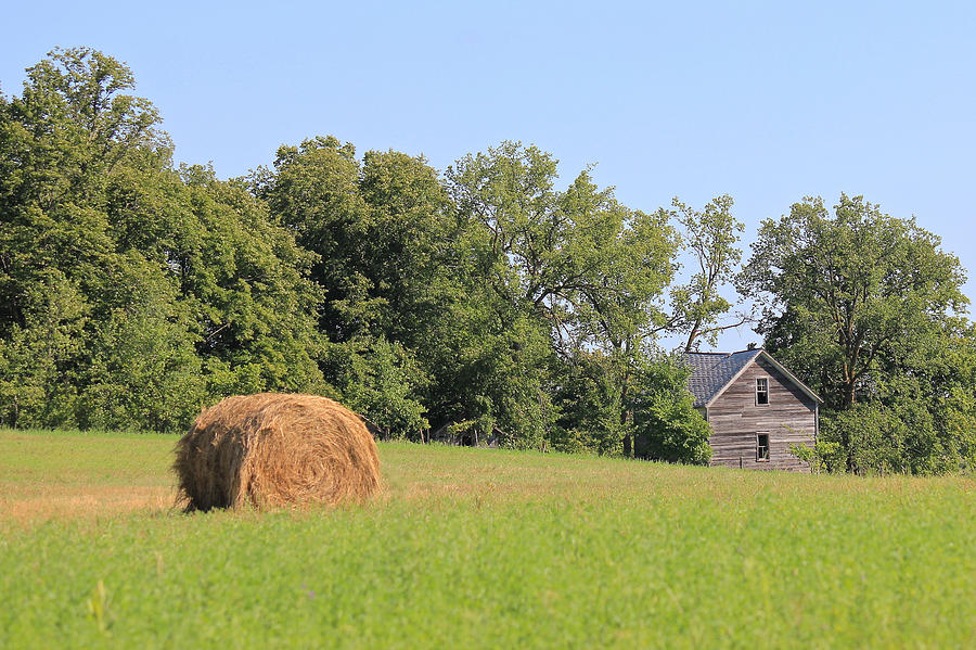 Tree Photograph - Haying Season at Captain Eds Homestead by Penny Meyers