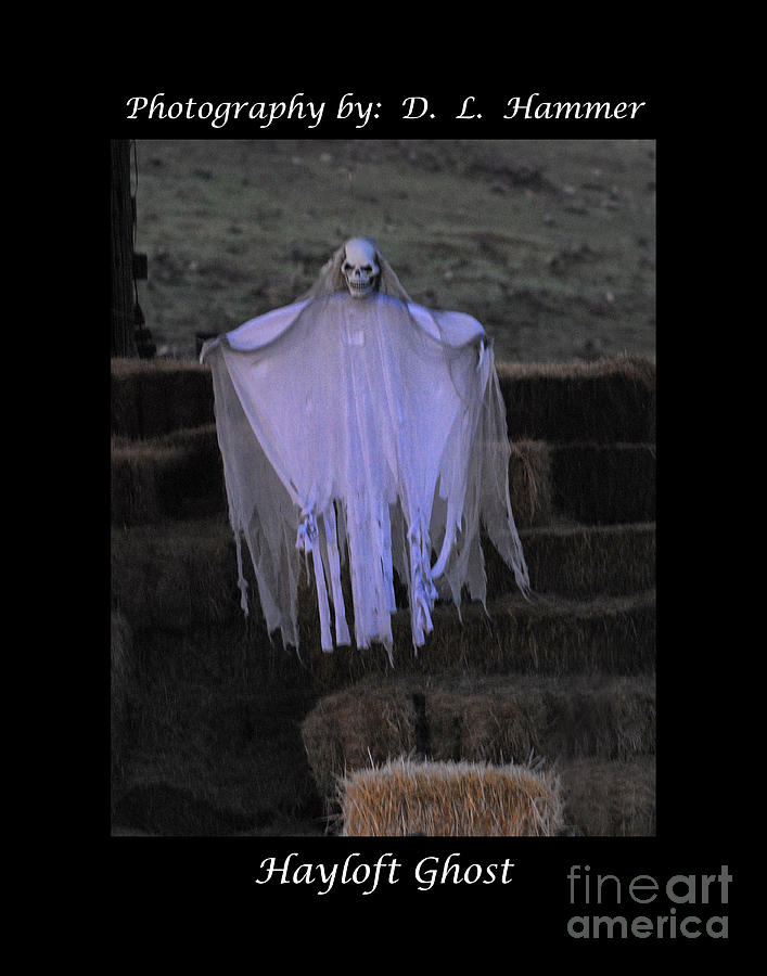 Hayloft Ghost Photograph by Dennis Hammer