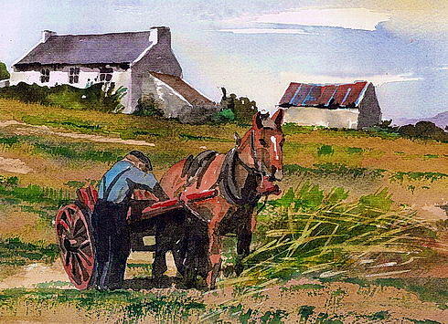 Haymaking Tousist  Kerry Painting by Val Byrne
