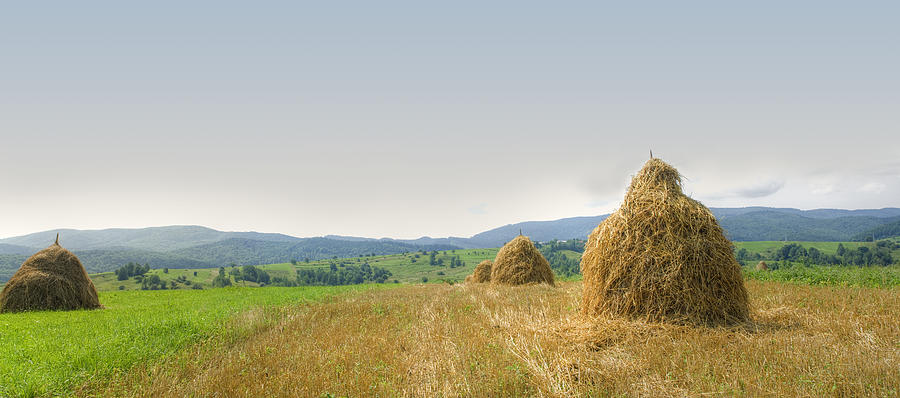 Hayrack panorama Photograph by Vlad Baciu