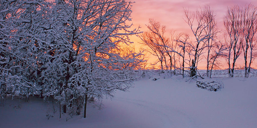 Sunset Photograph - Hayrake and Trees - Winter Sunset #2 by Nikolyn McDonald