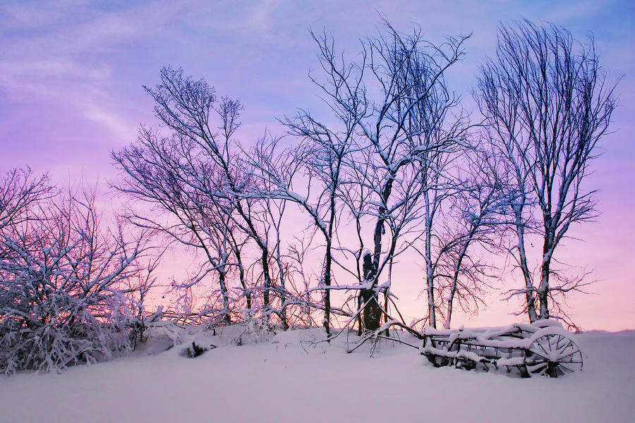 Hayrake and Trees - Winter Sunset Photograph by Nikolyn McDonald