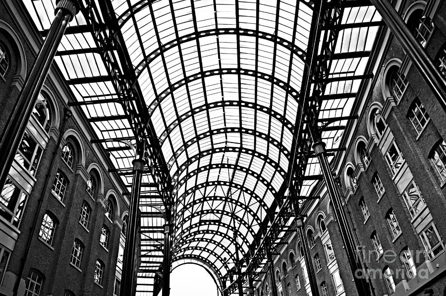 Hays Galleria roof 2 Photograph by Elena Elisseeva