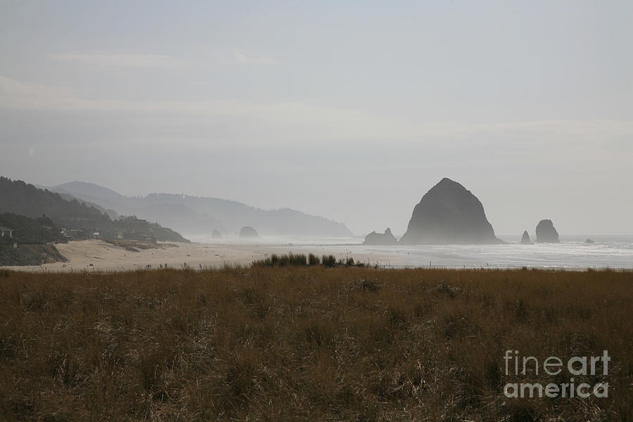 Haystack in Mist Photograph by Timothy Johnson
