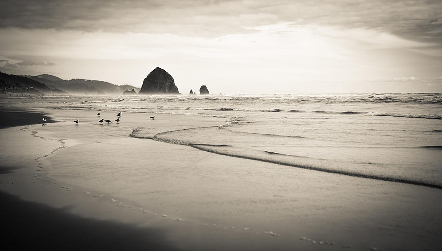 Haystack Rock and Cannon Beach Photograph by Scott Rackers