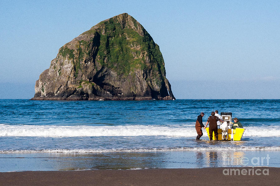 Haystack Rock and Dory Fishermen Photograph by Margaret Hood