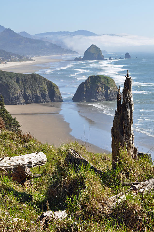 Haystack Rock at Oregons Ecola State Park Photograph by Bruce Gourley