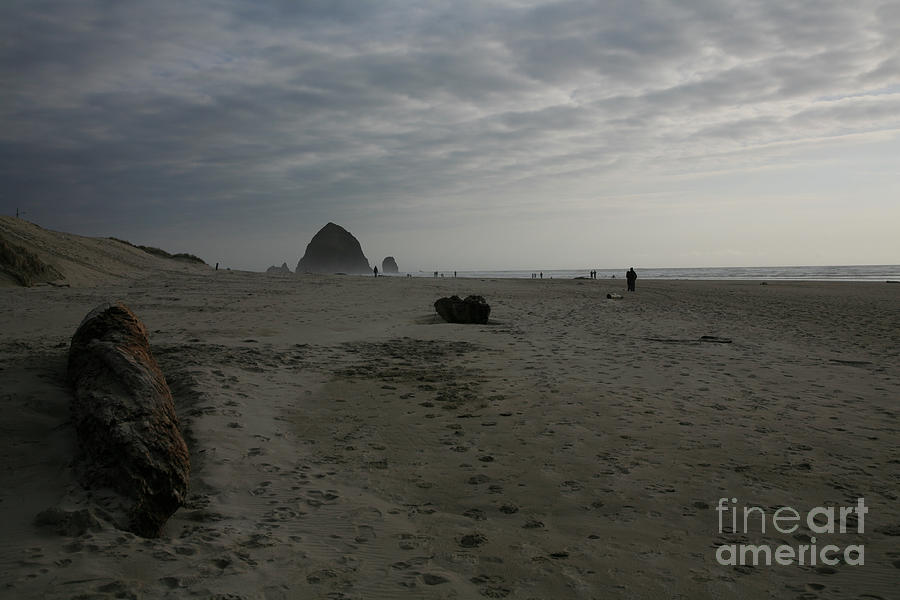Haystack Rock Photograph by Timothy Johnson