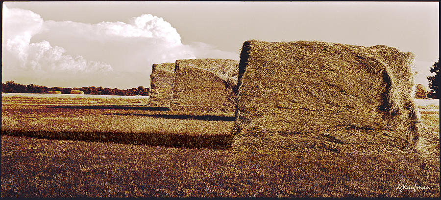Haystacks Photograph by Dolores Kaufman
