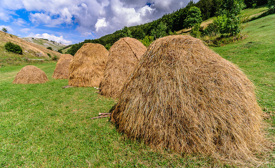 Haystacks Photograph by Sergey Simanovsky
