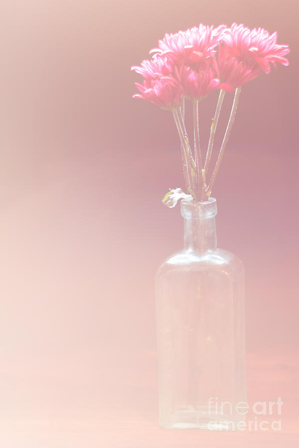 Flower Photograph - Hazy Beauty by KJ DeWaal