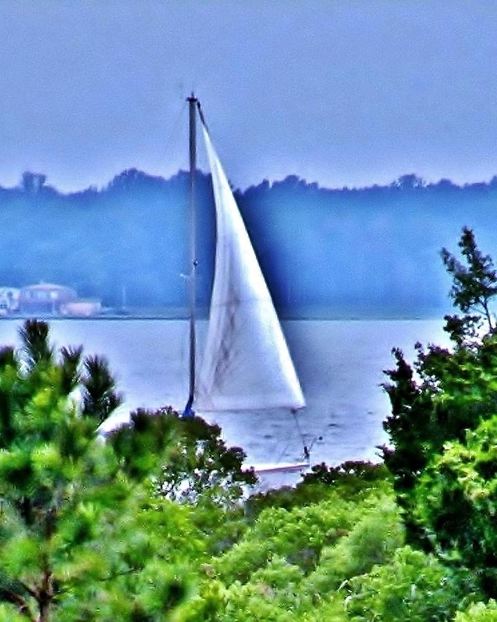 Hazy Day Sail Photograph by Kim Bemis