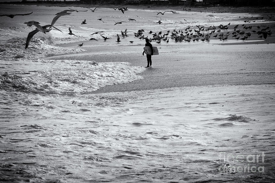 HDR Black White BW Beach Ocean Seascape Birds Seagulls Photography Photo Picture Surfer Art Gallery  Photograph by Al Nolan