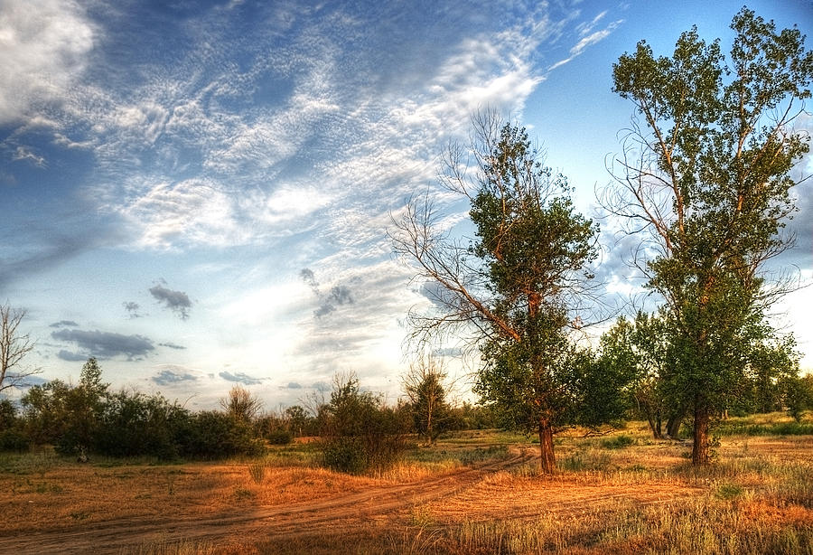 Hdr Landscape Photograph by Svetlana Sewell