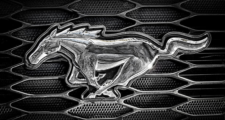 HDR- Mustang Photograph by Joe Myeress
