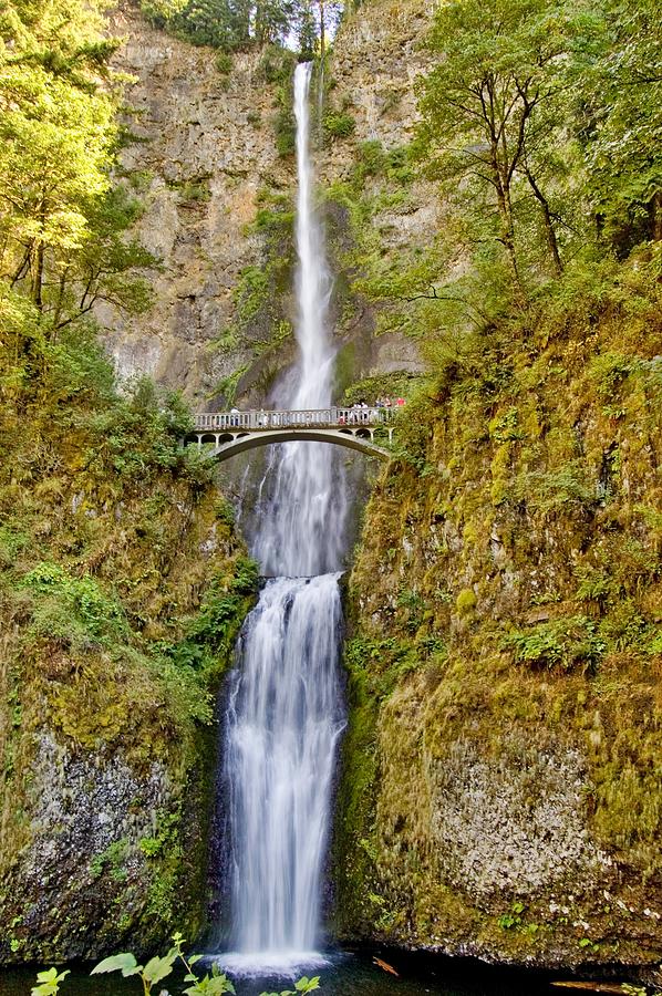 HDR Waterfall Photograph by Janelle Adams | Fine Art America